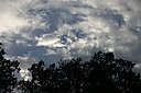 IMG_0319